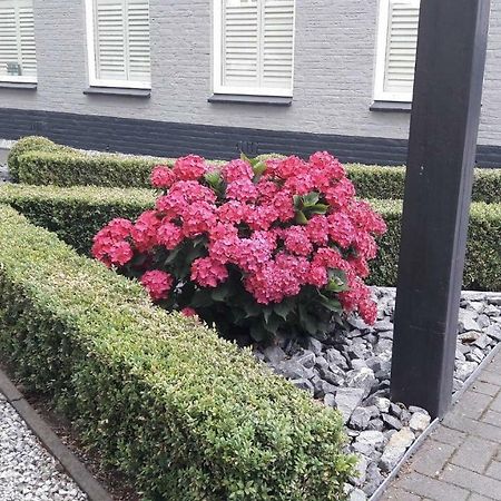 Sfeervolle 2 Persoons Studio In Bakkeveen Exteriör bild